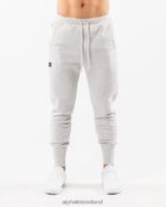 Clothing IE Alphalete Men Academy Club Jogger Heather Grey 2L4400714 - Image 3