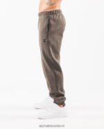 Clothing IE Alphalete Men Academy Relaxed Jogger Desert Taupe Brown 2L4400720 - Image 4