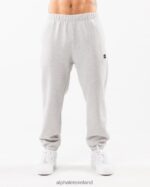 Clothing IE Alphalete Men Academy Relaxed Jogger Heather Grey 2L4400718