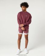 Clothing IE Alphalete Men Classic Crew Autumn Red 2L4400629 - Image 2