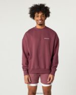 Clothing IE Alphalete Men Classic Crew Autumn Red 2L4400629