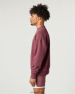 Clothing IE Alphalete Men Classic Crew Autumn Red 2L4400629 - Image 3