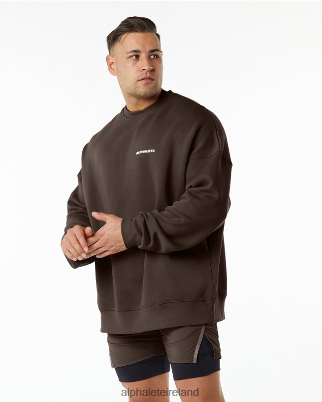 clothing_ie_alphalete_men_classic_crew_fudge_brown_2l4400649.jpg Clothing IE Alphalete Men Classic Crew Fudge Brown 2L4400649 - Image 1