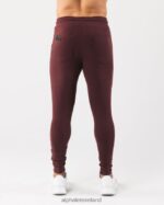 Clothing IE Alphalete Men Identity Jogger Sangria Red 2L4400725 - Image 2