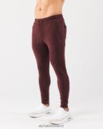 Clothing IE Alphalete Men Identity Jogger Sangria Red 2L4400725 - Image 3