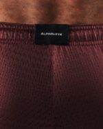 Clothing IE Alphalete Men LDB More Mesh Short 6" Burgundy Red 2L4400669 - Image 5