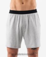Clothing IE Alphalete Men Lounge Short Heather Grey 2L4400655