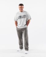 Clothing IE Alphalete Men Republic Tee Serena Grey 2L4400491 - Image 2