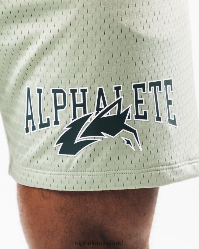 Clothing IE Alphalete Men Wolf Head Mesh Short 6" Sage Green 2L4400661 - Image 6