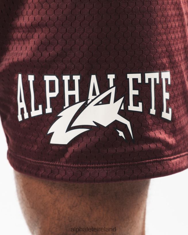 Clothing IE Alphalete Men Wolf Head Mesh Short 6" Sangria Red 2L4400659 - Image 6