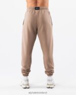 Clothing IE Alphalete Unisex Earth Dye Graphic Jogger Mudstone Brown 2L4400457 - Image 3