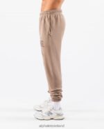 Clothing IE Alphalete Unisex Earth Dye Graphic Jogger Mudstone Brown 2L4400457 - Image 4