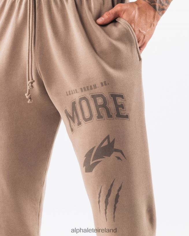 Clothing IE Alphalete Unisex Earth Dye Graphic Jogger Mudstone Brown 2L4400457 - Image 5