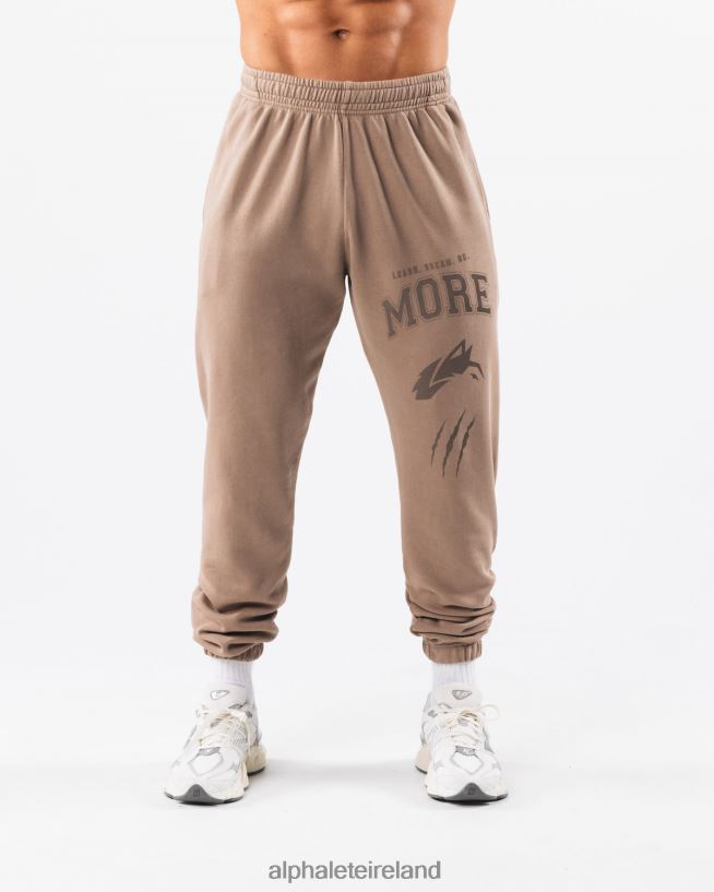 Clothing IE Alphalete Unisex Earth Dye Graphic Jogger Mudstone Brown 2L4400457 - Image 1