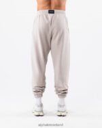 Clothing IE Alphalete Unisex Earth Dye Graphic Jogger Silver Grey 2L4400455 - Image 3