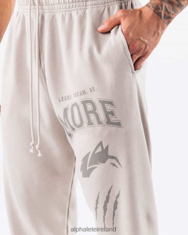 Clothing IE Alphalete Unisex Earth Dye Graphic Jogger Silver Grey 2L4400455 - Image 5