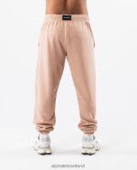 Clothing IE Alphalete Unisex Earth Dye Natural Jogger Ochre Brown 2L4400461 - Image 3