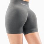 Clothing IE Alphalete Women Amplify Short 4.5" Smoke Grey 2L4400343