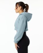 Clothing IE Alphalete Women Classic Capital Crop Hoodie Fog Blue 2L4400284 - Image 2