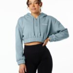 Clothing IE Alphalete Women Classic Capital Crop Hoodie Fog Blue 2L4400284