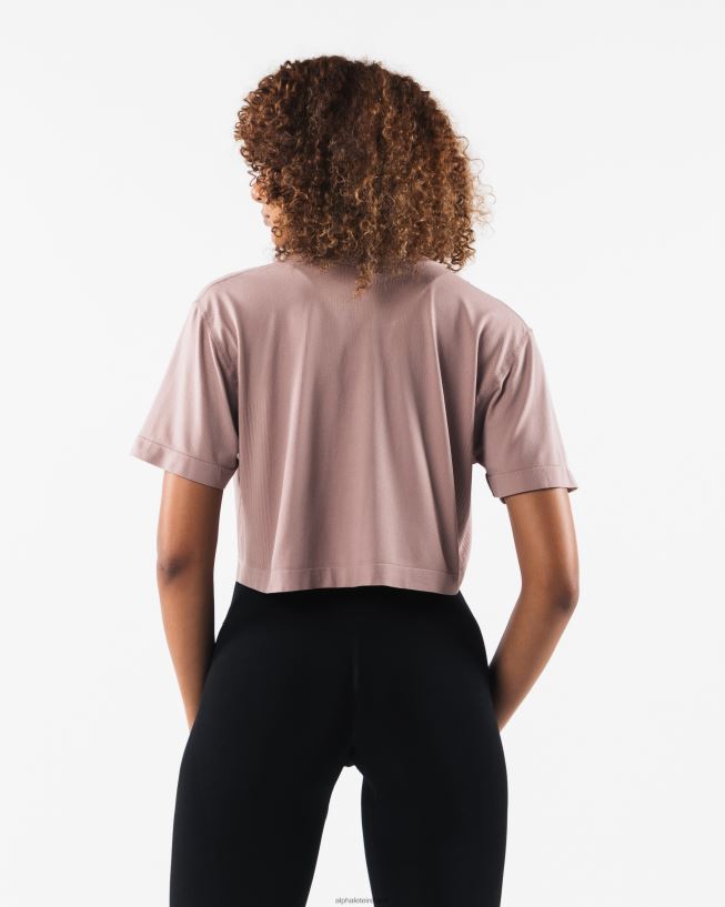 Clothing IE Alphalete Women Core Airtech SS Crop Porcelain Brown 2L4400205 - Image 4