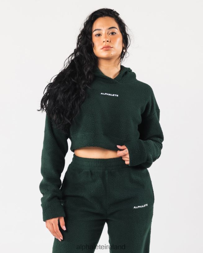 clothing_ie_alphalete_women_king_crop_hoodie_evergreen_green_2l4400276.jpg Clothing IE Alphalete Women King Crop Hoodie Evergreen Green 2L4400276 - Image 1