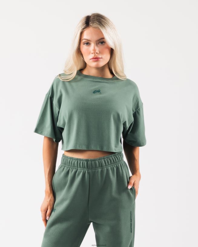 clothing_ie_alphalete_women_origin_crop_sage_green_2l4400190.jpg Clothing IE Alphalete Women Origin Crop Sage Green 2L4400190 - Image 1