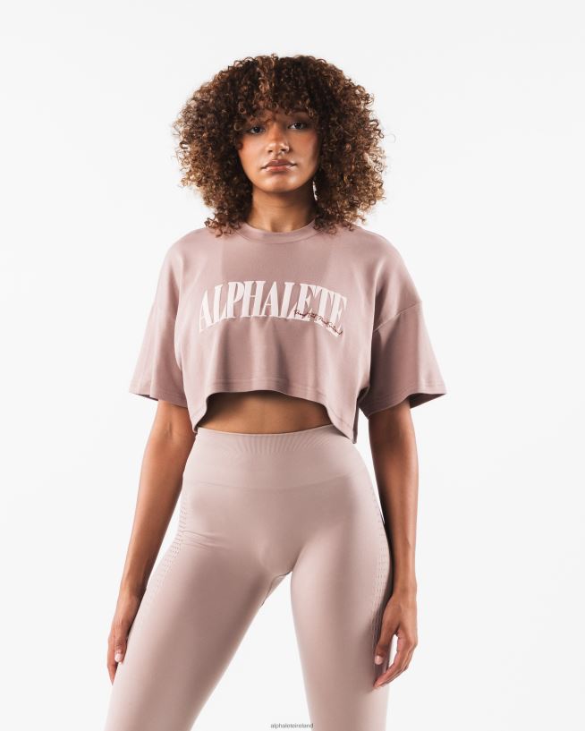 clothing_ie_alphalete_women_republic_crop_tee_antler_brown_2l4400199.jpg Clothing IE Alphalete Women Republic Crop Tee Antler Brown 2L4400199 - Image 1